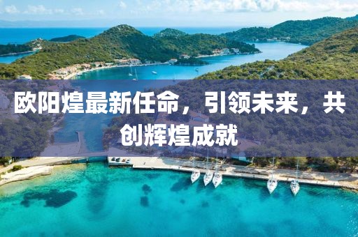 歐陽煌最新任命，引領(lǐng)未來，共創(chuàng)輝煌成就