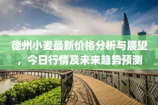 德州小麥最新價格分析與展望，今日行情及未來趨勢預測