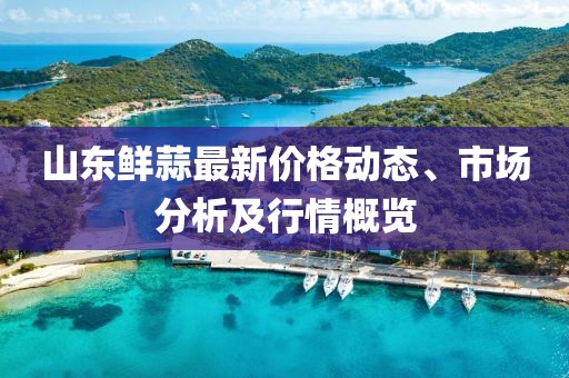 山東鮮蒜最新價格動態(tài)、市場分析及行情概覽