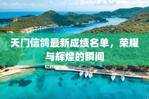 天門信鴿最新成績(jī)名單，榮耀與輝煌的瞬間