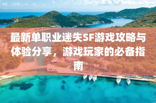 最新單職業(yè)迷失SF游戲攻略與體驗分享，游戲玩家的必備指南