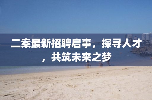二案最新招聘啟事，探尋人才，共筑未來之夢(mèng)