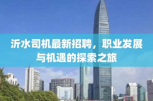 沂水司機(jī)最新招聘，職業(yè)發(fā)展與機(jī)遇的探索之旅