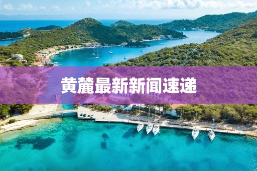 黃麓最新新聞速遞