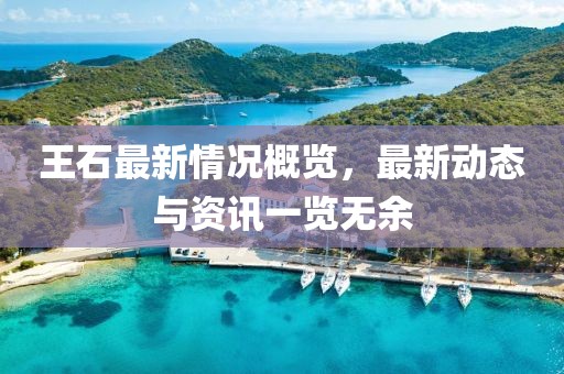 王石最新情況概覽，最新動(dòng)態(tài)與資訊一覽無(wú)余
