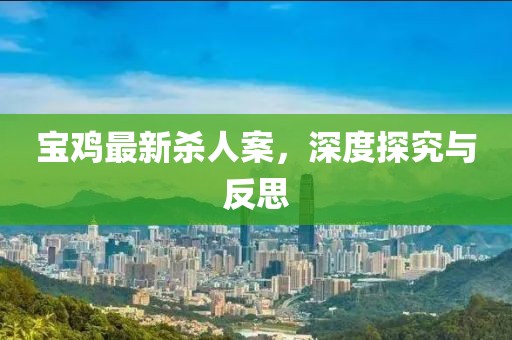 寶雞最新殺人案，深度探究與反思