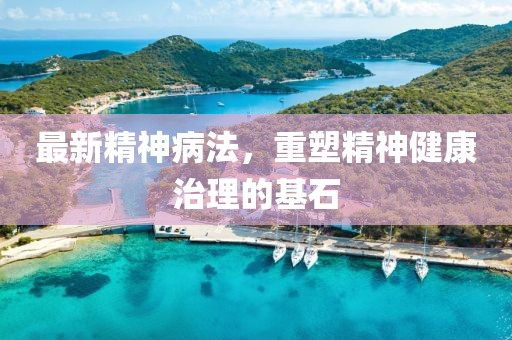 最新精神病法，重塑精神健康治理的基石