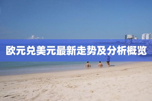 歐元兌美元最新走勢(shì)及分析概覽
