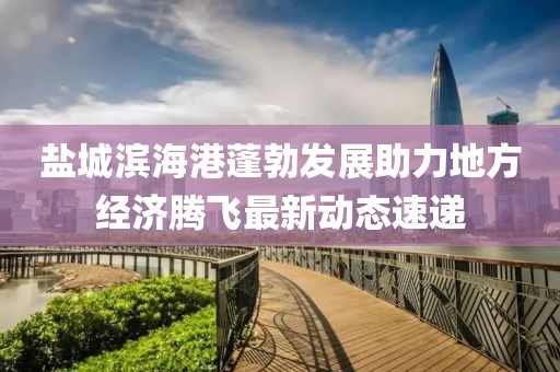 鹽城濱海港蓬勃發(fā)展助力地方經(jīng)濟騰飛最新動態(tài)速遞
