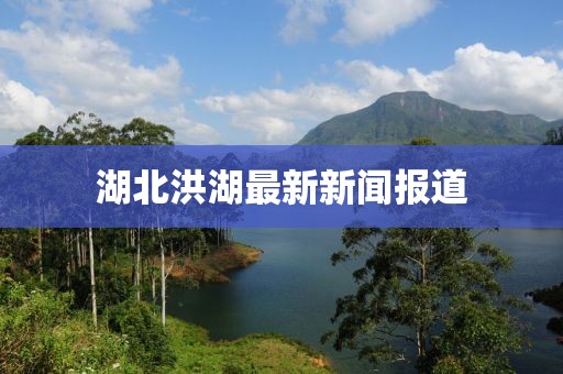 湖北洪湖最新新聞報道