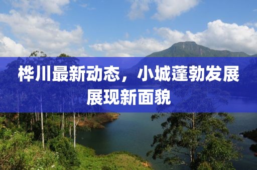 樺川最新動(dòng)態(tài)，小城蓬勃發(fā)展展現(xiàn)新面貌