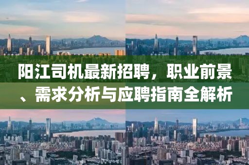 陽(yáng)江司機(jī)最新招聘，職業(yè)前景、需求分析與應(yīng)聘指南全解析