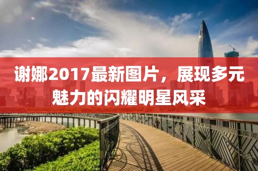 謝娜2017最新圖片，展現(xiàn)多元魅力的閃耀明星風(fēng)采