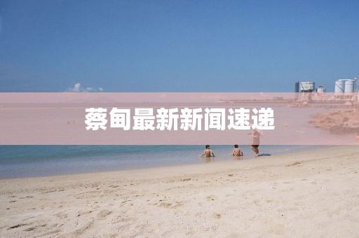 蔡甸最新新聞速遞