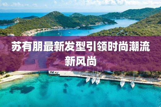 蘇有朋最新發(fā)型引領時尚潮流新風尚