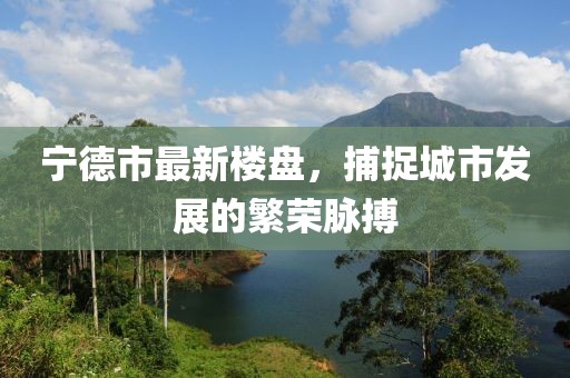 寧德市最新樓盤(pán)，捕捉城市發(fā)展的繁榮脈搏