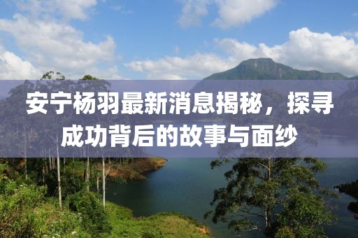 安寧楊羽最新消息揭秘，探尋成功背后的故事與面紗