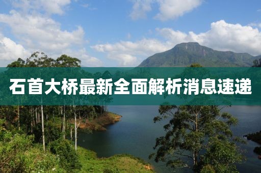 石首大橋最新全面解析消息速遞