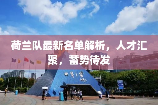 荷蘭隊最新名單解析，人才匯聚，蓄勢待發(fā)