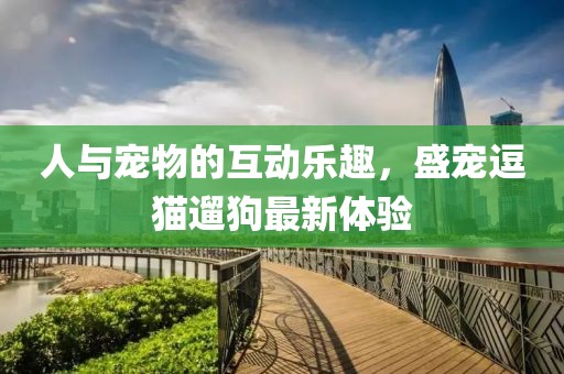 人與寵物的互動(dòng)樂趣，盛寵逗貓遛狗最新體驗(yàn)