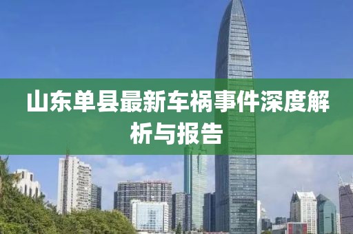 山東單縣最新車禍?zhǔn)录疃冉馕雠c報告