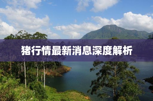 豬行情最新消息深度解析