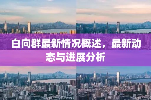 白向群最新情況概述，最新動態(tài)與進展分析