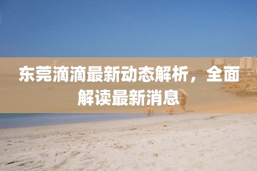 東莞滴滴最新動態(tài)解析，全面解讀最新消息