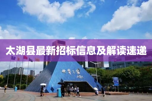 太湖縣最新招標信息及解讀速遞