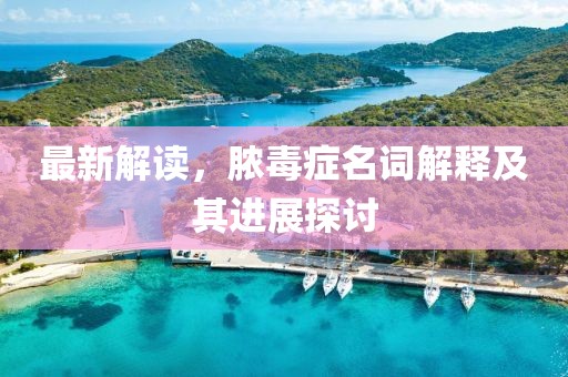 最新解讀，膿毒癥名詞解釋及其進(jìn)展探討