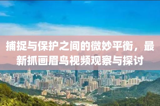 捕捉與保護(hù)之間的微妙平衡，最新抓畫眉鳥視頻觀察與探討