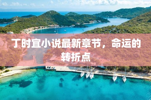 丁時(shí)宜小說最新章節(jié)，命運(yùn)的轉(zhuǎn)折點(diǎn)