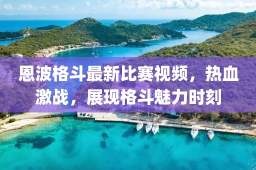 恩波格斗最新比賽視頻，熱血激戰(zhàn)，展現(xiàn)格斗魅力時(shí)刻