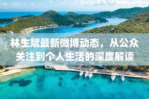 林生斌最新微博動態(tài)，從公眾關(guān)注到個人生活的深度解讀