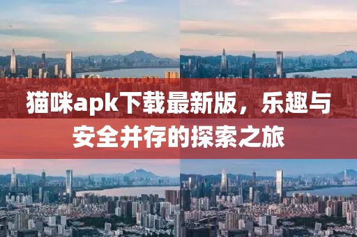 貓咪apk下載最新版，樂趣與安全并存的探索之旅