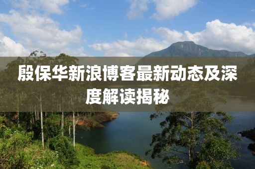 殷保華新浪博客最新動態(tài)及深度解讀揭秘