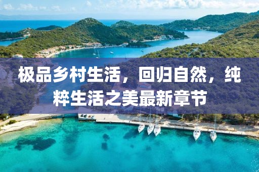 極品鄉(xiāng)村生活，回歸自然，純粹生活之美最新章節(jié)