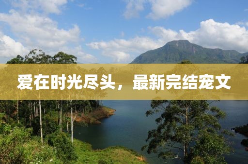 愛在時(shí)光盡頭，最新完結(jié)寵文