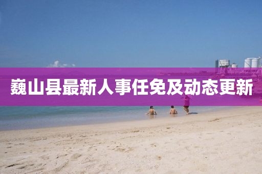巍山縣最新人事任免及動態(tài)更新