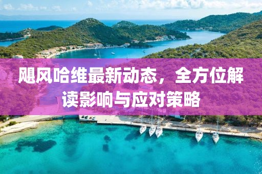 颶風(fēng)哈維最新動態(tài)，全方位解讀影響與應(yīng)對策略