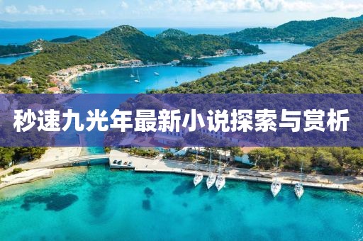 秒速九光年最新小說探索與賞析