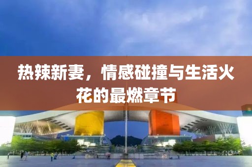 熱辣新妻，情感碰撞與生活火花的最燃章節(jié)