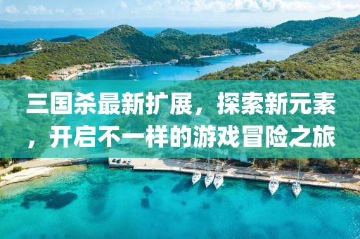 三國(guó)殺最新擴(kuò)展，探索新元素，開(kāi)啟不一樣的游戲冒險(xiǎn)之旅