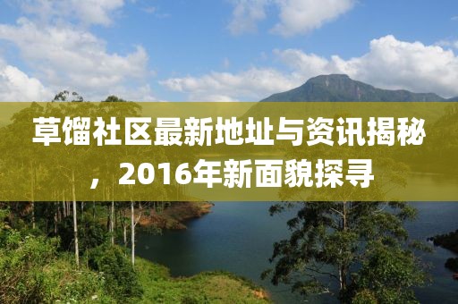 草餾社區(qū)最新地址與資訊揭秘，2016年新面貌探尋