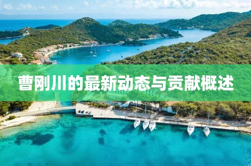 曹剛川的最新動態(tài)與貢獻概述