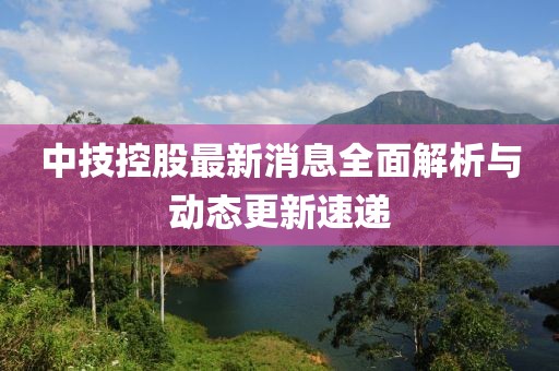 中技控股最新消息全面解析與動態(tài)更新速遞