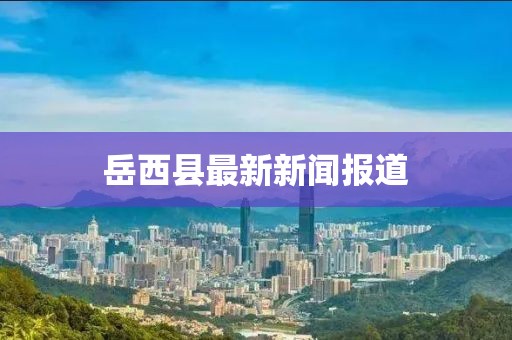 岳西縣最新新聞報(bào)道