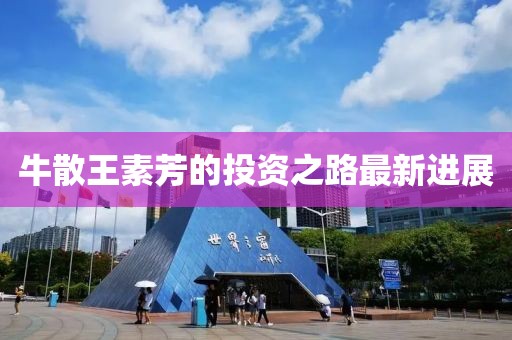 牛散王素芳的投資之路最新進(jìn)展
