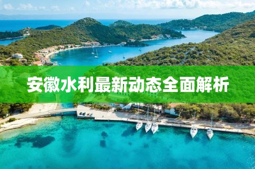 安徽水利最新動態(tài)全面解析