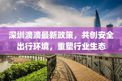 深圳滴滴最新政策，共創(chuàng)安全出行環(huán)境，重塑行業(yè)生態(tài)